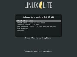 Alle zukünftigen starts sollten weniger als eine sekunde in anspruch nehmen. Linux Lite 5 2 Installieren Tutorial Technium
