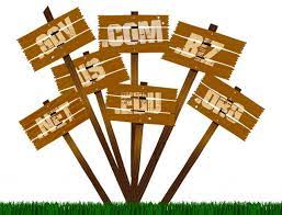 Adică copii era trecuţi cu numele tatălui, care era tot după tradiţie medievală. Semnificatia Numelui De Familie Originea Numelui De Familie Divahair Ro