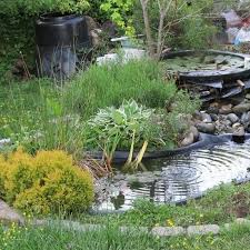 Browse 786 small garden pond stock photos and images available, or search for small pond to find more great stock photos and pictures. The Best Small Plants For Small Ponds Easy Care Species Pond Informer