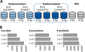 Find the daily currency rates for japanese yen as well as for the top world currencies with our free currency exchange the united states country code is usa or us instructions: Radiosensitization By Kinase Inhibition Revealed By Phosphoproteomic Analysis Of Pancreatic Cancer Cells Molecular Cellular Proteomics