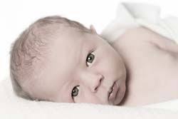 Carter Jason Wickstrom, Monday, Jan. 7, 2013