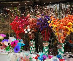 Image result for nagaland images