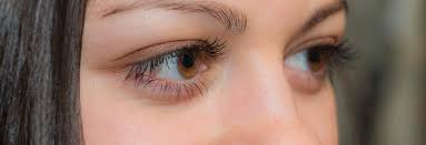 Welches rizinusöl für die wimpern? Rizinusol Fur Wimpern Erfolgreiche Wimpernverlangerung Beautylog
