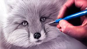 Since a fox's ears are pretty big, draw an additional arched line inside each ear to depict its size. How To Draw A Fox Youtube