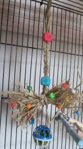D Autres Petits Jouets Maison Pour Vous Inspirer Jouets Perruche Jouet Pour Perroquet Jouet