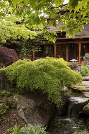 Garten Gestalten Asiatisch Niedrig Strauch Bachlauf Stein Garten Gestalten Gartengestaltung Japanischer Ahorn Garten