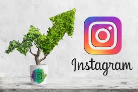 12 Strategies to Grow Your Instagram Account - Young Leaders