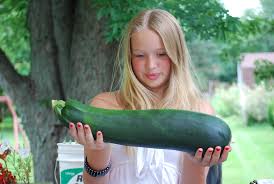 Okay, so i have this zucchini. Giant Zucchini In Our Garden Julia And The Biggest Zucchin Flickr