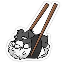 Funny Sushi Schnauzer Sticker By Ilovepaws In 2020 Schnauzer Gifts Dog Drawing Schnauzer