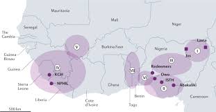 Image result for Lassa Fever