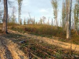 Marius roatis a scris cu 6 ani în urmă: Ocol La Procurori Opt Functionari Vor Fi Dati Pe Mana Anchetatorilor