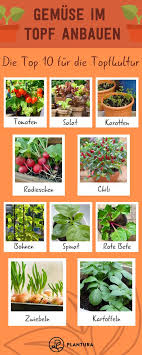 Gemuse Im Topf Anbauen Die 10 Besten Sorten Fur Die Topfkultur Mein Garten Growing Vegetables Garden Plants Garden