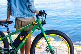 Here is a list of the best electric bikes in india. Ezyriders Electric Bike Tours Rentals Bali E Bikes Bicycle Rentals