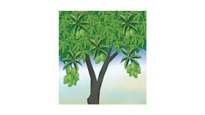 Jawaban penilaian pelajaran 2 pg halaman 105 penjaskes kelas 7. Cw Xixqgvkedam