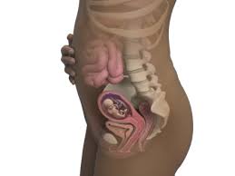 Pin On Baby Ideas