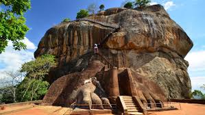 Find traveler reviews and candid photos of dining near flower inn in sigiriya, central province. Sigiriya Resorts Best Price Hd Photos Of Resorts In Sigiriya