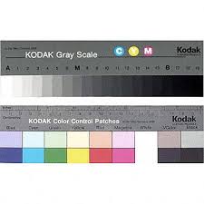 Kodak Color Separation Guide With Grey Scale 8 Inch Size