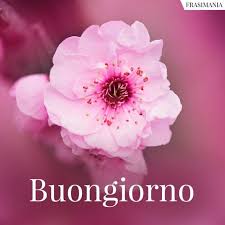 We did not find results for: Pin Su Buongiorno Immagini