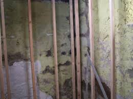 Storage conditions affect the taste of the wine. How To Build A Wine Cellar Hgtv