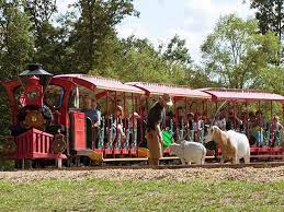 Maybe you would like to learn more about one of these? Timbavati Wildlife Park Wisconsin Dells Family Attraction Wisdells