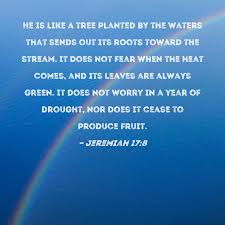 Jeremiah 17:8 He is like a tree planted by the waters that sends out its  roots toward the stream. It does not fear when the heat comes, and its  leaves are always