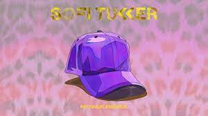Sofi Tukker Purple Hat Novak Remix Visualizer Ultra Music Ultra Music Youtube Luigivanendless Demo Label Vide Purple Hats Electronic Music Remix