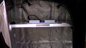 This sf2000 model is essentially a combination of two smaller sf1000 models. Pin On 10 Herbs That Heal Detox Diy
