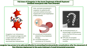 Image result for Cangrelor