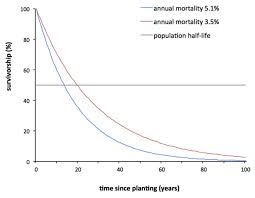 is average tree lifespan a meaningful number deeproot blog