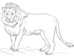 306 1 4 tired of boring old crayon. Standing Lion Coloring Page Free Printable Coloring Pages For Kids