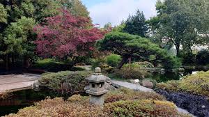 Betritt man den garten (eintritt ist frei) so sieht man die büste von loki schmidt. Deutsch Japanisches Forum Elbe E V Herbst Im Japangarten Des Loki Schmidt Garten Botanischer Garten In Klein Flottbek æ—¥æœ¬åº­åœ'ã®ç§‹é¢¨æ™¯ Facebook