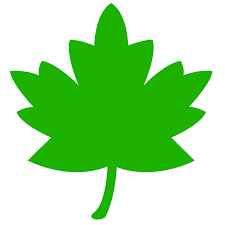 Download these amazing cliparts absolutely free and use these for creating your presentation, blog or website. Green Leaf Clipart Free Download Transparent Png Creazilla
