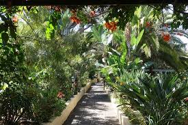 Schade Um Den Eintrittspreis Jardin De Orquideas De Sitio Litre Puerto De La Cruz Reisebewertungen Tripadvisor