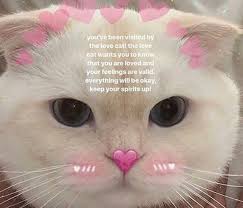 See a recent post on tumblr from @beyoncescock about wholesome memes. 18 Wholesome Memes To Start The Week Off Right Cute Love Memes Cute Cat Memes Love Memes