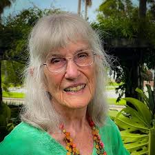 American Governess: Sargent, Ann Dickinson: 9798704245728: Amazon.com: Books