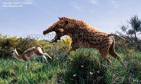 Archaeotherium Prehistoric Animals Prehistoric Creatures Extinct Animals