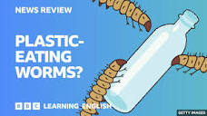 Plastic-eating worms: BBC News Review - YouTube