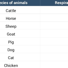The Respiratory Rate Of Domestic Animal Per Minute