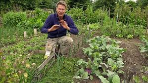 Mulchen Mit Rasenschnitt Und Rindenmulch Mulchen Rindenmulch Rasen