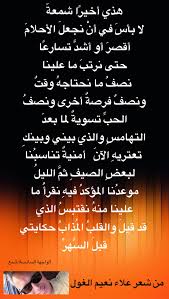 pin by علاء نعيم الغول on علاء نعيم الغول neon signs calligraphy neon