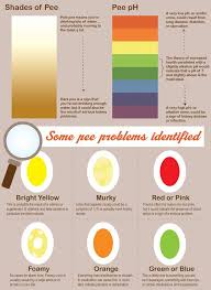 Urine And Ph Know The Signs Medical Laboratory Science Health Science Classroom Medical Laboratory Scientist