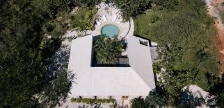 Image result for Galopina