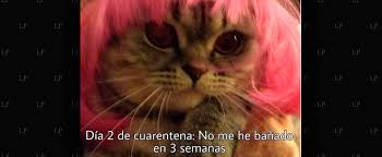 Van solo 2 días del aislamiento obligatorio en el país, y los en los memes, algunos internautas han imaginado cómo será el futuro cuando pase este duro momento, mientras que otros muestran (en broma) lo que hacen. Los Mejores Memes Para Pasar La Cuarentena Latinamerican Post