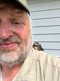 GOD is Awesome! to make alittle bird that lives in the dirt and I watched  it dig out and work