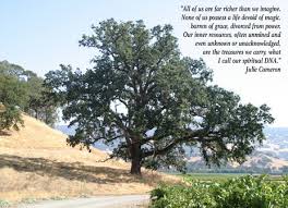 Acorn to mighty oak tree quotes, quotations & sayings 2020. Quotes About Oak 165 Quotes