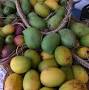 Natural Mangoes Chennai from www.thehindu.com