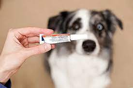 Animax Salbe Fur Hunde 2021