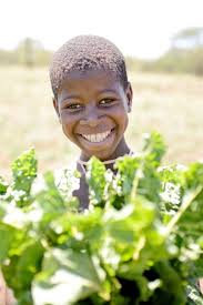 Drought leaves an SOS Children's Village community in distress