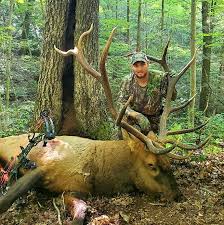 Baird Bags 800 Pound Bull Elk Is In Contention For State Record Wlaf For most hunters, elk hunting is so much more than just meat in the freezer and antlers on the wall.