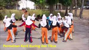 Terkadang kucing tersebut sulit ditemukan saat kita sedang ingin bersamanya. Permainan Kecil Kucing Dan Tikus Youtube